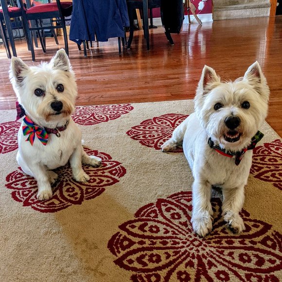 Meet your Posher, T - Picture 2 of 2